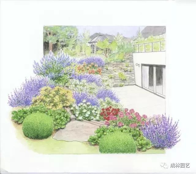 花园管家 36款花境设计平面图与33款实景图赏析